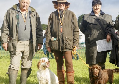RS2015_Minor Breed Spaniels C_Ring-19