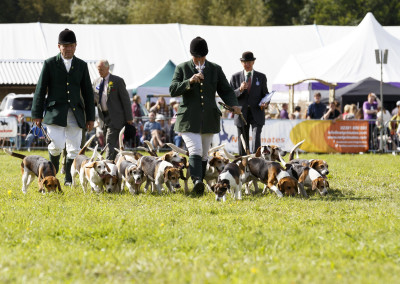 RS2015_Parade of Hounds-2